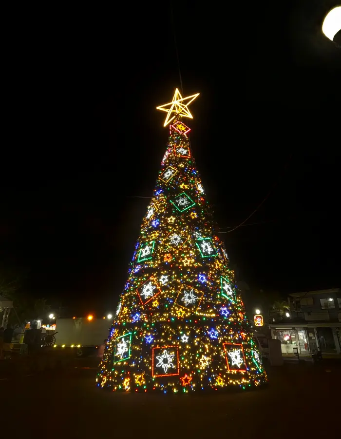 christmas tree on a public park